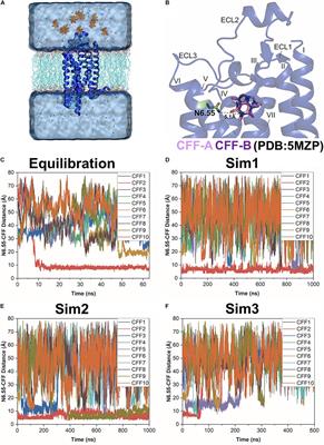 Pathways and Mechanism of Caffeine Binding to Human Adenosine A2A Receptor